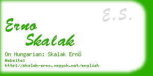 erno skalak business card